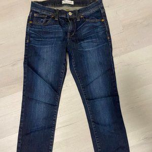 Madewell Skinny Skinny Jean